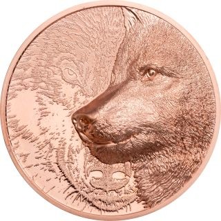 The Lunar Year of the Dog China 2006 80mm Copper Medal 